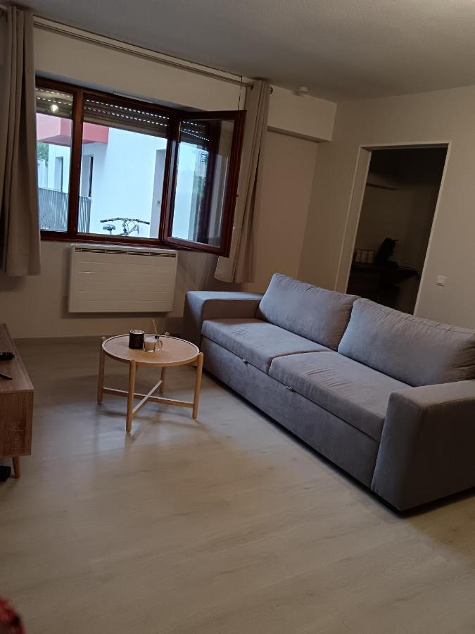 Appartement Cosy A ストラスブール エクステリア 写真